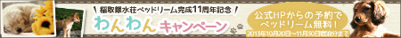 わんわんキャンペーン