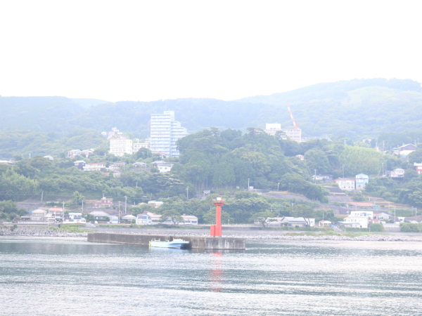 東伊豆で♪稲取で♪釣りざんまい【稲取銀水荘】