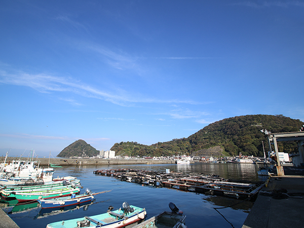 絶対また行く！日本一の、優しい美味しさ【沼津市内浦港・いけすや】稲取銀水荘