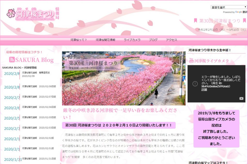 河津桜まつり情報局