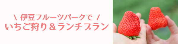 【3/25まで】伊豆フルーツパークでいちご狩り＆ランチセットプラン始めました【堂ヶ島ニュー銀水】