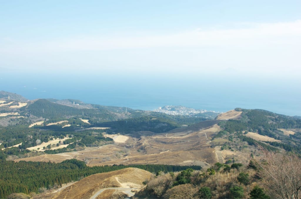 稲取細野高原のすすき
